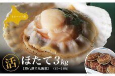 オホーツク産 『活』 ほたて 3kg（15～21枚） 【 ふるさと納税 人気 おすすめ ランキング 魚介類 貝 帆立 ホタテ ほたて 帆立貝柱 ホタテ貝柱 ほたて貝柱 北海道 佐呂間町 送料無料 】 SRMN001