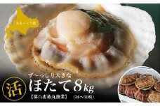 オホーツク産 ずっしり大きな『活』 ほたて 8kg（36～50枚） 【 ふるさと納税 人気 おすすめ ランキング 魚介類 貝 帆立 ホタテ ホタテ 帆立貝柱 ホタテ貝柱 ほたて貝柱 北海道 佐呂間町 送料無料 】 SRMN002