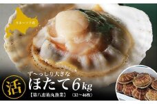 オホーツク産 ずっしり大きな『活』 ほたて 6kg（32～46枚） 【 ふるさと納税 人気 おすすめ ランキング 魚介類 貝 帆立 ホタテ ホタテ 帆立貝柱 ホタテ貝柱 ほたて貝柱 北海道 佐呂間町 送料無料 】 SRMN002