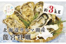 [№5930-0183]≪先行予約2025年11月から発送≫北海道サロマ湖産  龍宮牡蠣3kg（2年物殻付きカキ）カキナイフ付　牡蠣　カキ　かき　海鮮　魚介　国産　殻付き　生牡蠣　生食　焼き牡蠣　蒸し牡蠣　冷蔵　産地直送　サロマ湖　オホーツク　湧別町　北海道