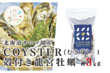 [№5930-0184]≪先行予約2025年11月から発送≫北海道サロマ湖産【COYSTER（むき身）×1+2年物殻付き龍宮牡蠣3kg】カキナイフ付　牡蠣　カキ　かき　海鮮　魚介　国産　殻付き　むき身　生牡蠣　生食　焼き牡蠣　蒸し牡蠣　冷蔵　産地直送　サロマ湖　オホーツク　湧別町　北海道