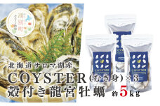 [№5930-0185]≪先行予約2025年11月から発送≫北海道サロマ湖産【COYSTER（むき身）×3+2年物殻付き龍宮牡蠣5kg】カキナイフ付　牡蠣　カキ　かき　海鮮　魚介　国産　殻付き　むき身　生牡蠣　生食　焼き牡蠣　蒸し牡蠣　冷蔵　産地直送　サロマ湖　オホーツク　湧別町　北海道