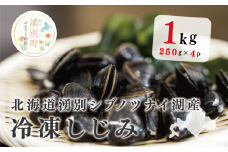 [№5930-0269]北海道湧別シブノツナイ湖産  冷凍しじみ250g×４パック　魚介類　魚貝類　貝　味噌汁　スープ　冷凍　サロマ湖　オホーツク　おほーつく　北海道