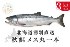 [№5930-0299]≪先行予約2025年9月中旬から発送≫北海道湧別港直送　秋鮭メス3kg以上（丸1本）納期指定不可　鮭　さけ　サケ　いくら　イクラ　筋子　海鮮　魚介　国産　生　冷蔵　産地直送　オホーツク　おほーつく　湧別町　北海道　