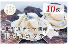 [№5930-0245]≪先行予約2025年11月から発送≫北海道サロマ湖産　貝付きホタテ10枚　ほたて　帆立　刺身　海鮮　魚介　貝付き　冷蔵　サロマ湖　オホーツク　おほーつく　湧別町　北海道
