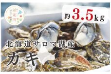 [№5930-0247]≪先行予約2025年11月から発送≫北海道サロマ湖産　カキ約3.5kg　牡蠣　かき　海鮮　魚介　殻付き　冷蔵　海のミルク　サロマ湖　オホーツク　おほーつく　湧別町　北海道