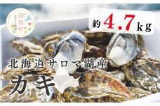 [№5930-0248]≪先行予約2025年11月から発送≫北海道サロマ湖産　カキ約4.7kg　牡蠣　かき　海鮮　魚介　殻付き　冷蔵　海のミルク　サロマ湖　オホーツク　おほーつく　湧別町　北海道