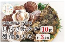 [№5930-0250]≪先行予約2025年11月から発送≫北海道サロマ湖産　貝付きホタテ12枚・カキ約3kg　ほたて　帆立　刺身　牡蠣　かき　海鮮　魚介　殻付き　貝付き　冷蔵　サロマ湖　オホーツク　おほーつく　湧別町　北海道