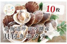 [№5930-0251]≪先行予約2025年11月から発送≫北海道サロマ湖産　貝付きホタテ10枚　ほたて　帆立　刺身　海鮮　魚介　貝付き　冷蔵　サロマ湖　オホーツク　おほーつく　湧別町　北海道