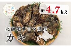[№5930-0254]≪先行予約2025年11月から発送≫北海道サロマ湖産　カキ約4.7kg　牡蠣　かき　殻付き　海鮮　魚介　国産　貝付き　冷蔵　海のミルク　蒸し牡蠣　産地直送　サロマ湖　オホーツク　おほーつく　湧別町　北海道