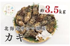 [№5930-0253]≪先行予約2025年11月から発送≫北海道サロマ湖産　カキ約3.5kg　牡蠣　かき　殻付き　海鮮　魚介　国産　貝付き　冷蔵　海のミルク　蒸し牡蠣　産地直送　サロマ湖　オホーツク　おほーつく　湧別町　北海道