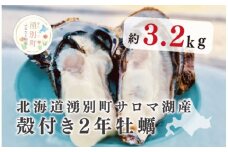 [№5930-0255]≪先行予約11月中旬から発送≫北海道湧別町サロマ湖産  殻付き2年牡蠣3.2kg（約24～32個入）　牡蠣　かき　殻付き　海鮮　魚介　国産　貝付き　冷蔵　海のミルク　蒸し牡蠣　産地直送　サロマ湖　オホーツク　おほーつく　湧別町　北海道