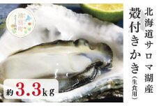 [№5930-0273]北海道サロマ湖産　殻付きかき（生食用）3.3kg　牡蠣　かき　カキ　海鮮　魚介　国産　生食　生牡蠣　冷蔵　海のミルク　産地直送　サロマ湖　オホーツク　おほーつく　北海道