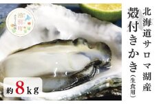 [№5930-0275]北海道サロマ湖産　殻付きかき（生食用）8kg　牡蠣　かき　カキ　海鮮　魚介　国産　生食　生牡蠣　冷蔵　海のミルク　産地直送　サロマ湖　オホーツク　おほーつく　北海道