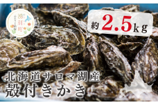 [№5930-0291]北海道サロマ湖産　殻付きかき2.5kg　牡蠣　かき　カキ　海鮮　魚介　国産　生食　生牡蠣　冷蔵　海のミルク　産地直送　サロマ湖　オホーツク　おほーつく　北海道