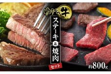 [№5930-0216]北海道産　ゆうべつ牛ステーキ・焼き肉セット　約800g　B　ステーキ肉　お肉　牛肉　湧別牛　赤身　焼肉　バーベキュー　冷凍　湧別牛　冷凍　国産　おほーつく　オホーツク　湧別町　北海道