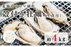 [№5930-0311]北海道サロマ湖産　殻付き牡蠣　約4kg　生食用　牡蠣　かき　カキ　殻付き　貝付き　海鮮　魚介　国産　生牡蠣　生食　蒸し牡蠣　焼き牡蠣　冷蔵　産地直送　サロマ湖　おほーつく　オホーツク　湧別町　北海道