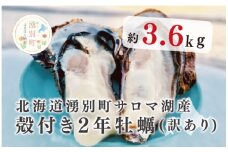  [№5930-0326]≪先行予約11月中旬から発送≫北海道湧別町サロマ湖産　殻付き2年牡蠣3.6㎏（約38個入）牡蠣　かき　カキ　海鮮　魚介　国産　殻付き　冷蔵　焼き牡蠣　蒸し牡蠣　産地直送　生牡蠣　生食　サロマ湖　オホーツク　北海道　湧別町
