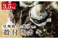 [№5930-0334]牡蠣職人が厳選した殻付きカキ 3.5kg（生食可）牡蠣　かき　カキ　海鮮　魚介　国産　殻付き　冷蔵　焼き牡蠣　蒸し牡蠣　産地直送　生牡蠣　生食　サロマ湖　オホーツク　北海道　湧別町