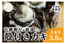[№5930-0334]≪先行予約2025年11月中旬から発送≫牡蠣職人が厳選した殻付きカキ 3.5kg（生食可）牡蠣　かき　カキ　海鮮　魚介　国産　殻付き　冷蔵　焼き牡蠣　蒸し牡蠣　産地直送　生牡蠣　生食　サロマ湖　オホーツク　北海道　湧別町