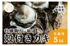 [№5930-0335]<先行予約2025年11月中旬から発送>牡蠣職人が厳選した殻付きカキ 5kg（生食可）牡蠣　かき　カキ　海鮮　魚介　国産　殻付き　冷蔵　焼き牡蠣　蒸し牡蠣　産地直送　生牡蠣　生食　サロマ湖　オホーツク　北海道　湧別町