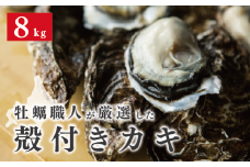 [№5930-0336]<先行予約2024年11月発送>牡蠣職人が厳選した殻付きカキ 8kg（生食可）牡蠣　かき　カキ　海鮮　魚介　国産　殻付き　冷蔵　焼き牡蠣　蒸し牡蠣　産地直送　生牡蠣　生食　サロマ湖　オホーツク　北海道　湧別町