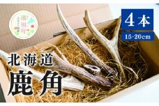 [№5930-0339]北海道 鹿角 4本 （15～20㎝）ジビエ　鹿角　シカツノ　しかつの　エゾシカ　エゾ鹿　アクセサリー　雑貨　オホーツク　湧別町　北海道