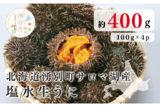 [№5930-0345]≪先行予約2024年4月から配送≫北海道湧別町サロマ湖産　塩水生うに 100g×4　うに　ウニ　雲丹　生うに　生ウニ　塩水　ばふんうに　バフンウニ　エゾバフンウニ　むき身　海鮮　魚介　冷蔵　産地直送　オホーツク　湧別町　北海道