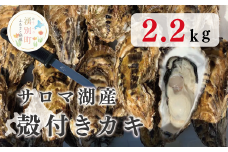 [№5930-0357]サロマ湖産殻付きカキ2.2㎏