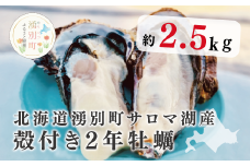 [№5930-0364]≪先行予約11月中旬から発送≫北海道湧別町サロマ湖産　殻付き牡蠣2.5㎏　牡蠣　かき　カキ　海鮮　魚介　国産　殻付き　冷蔵　焼き牡蠣　蒸し牡蠣　産地直送　生牡蠣　生食　サロマ湖　オホーツク　北海道　湧別町