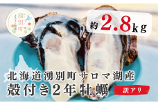 [№5930-0365]≪先行予約11月中旬から発送≫北海道湧別町サロマ湖産　殻付き牡蠣　訳あり2.8㎏　牡蠣　カキ　かき　生食用　加熱用　貝付き　オホーツク　海鮮　海産物　海のミルク