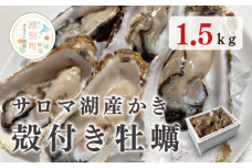 [№5930-0444]≪先行予約2025年11月から発送開始≫湧別町サロマ湖産殻付きカキ1.5kg　牡蠣 海鮮 魚介 国産 貝付き 生牡蠣 生食 焼き牡蠣 蒸し牡蠣