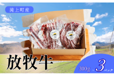 【Aセット】滝上放牧牛スライス3パックセット