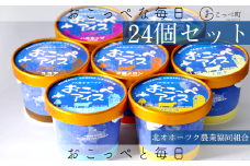 おこっぺアイス24個セット