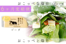 ☆有機JAS認証☆おこっぺ有機ゴーダチーズ80g×3個 6ヶ月定期便
