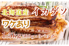 【ワケあり】北海道産　イカゲソ1.5kg