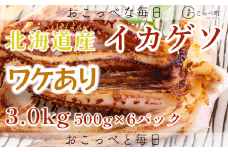 【ワケあり】北海道産　イカゲソ3.0kg