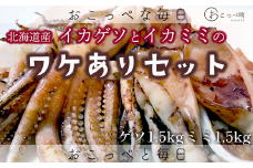 【ワケあり】わけあって!イカゲソとイカミミ