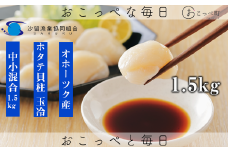 【ふぞろい品】ホタテ玉冷1.5kg 北海道オホーツク産