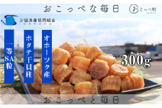ホタテ干貝柱300g 品質1等SA粒 北海道オホーツク産