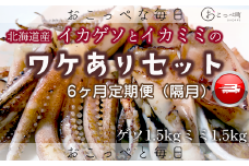 【ワケあり】わけあって!イカゲソとイカミミ　隔月 6ヶ月定期便
