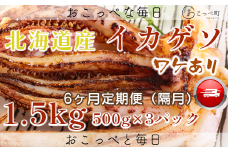 【ワケあり】北海道産　イカゲソ1.5kg　隔月 6ヶ月定期便