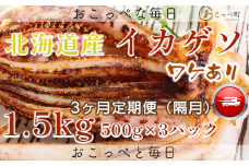 【ワケあり】北海道産　イカゲソ1.5kg　隔月 3ヶ月定期便