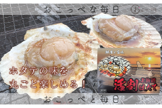 活割ほたて（9～10cm）20枚