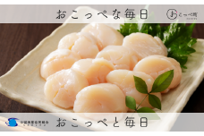 中玉ホタテ玉冷1kg（約60～80玉入り） 