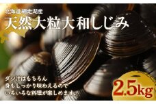 厳選！網走湖産大粒天然大和しじみ2.5kg 【 ふるさと納税 人気 おすすめ ランキング しじみ シジミ 蜆 貝 しじみ貝 シジミ貝 蜆貝 海鮮 ダシ汁 味噌汁 2.5kg 新鮮 冷凍 料理 網走湖 北海道 大空町 送料無料 】 OSA011
