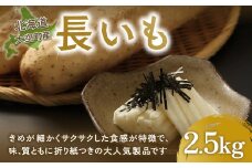 大空町産長いも2.5kg 【 ふるさと納税 人気 おすすめ ランキング 長いも いも 長イモ イモ 長芋 とろろ 野菜 2.5kg 北海道 大空町 送料無料 】 OSA001