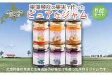 オホーツク東藻琴産の果実で作ったピュアなジャム6品セット 【 ふるさと納税 人気 おすすめ ランキング ジャム ハスカップ ヨーグルト パン ケーキ 料理 ソース 加工品 北海道 大空町 送料無料 】 OSK001