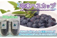 冷凍ハスカップ500g×2パック【 ふるさと納税 人気 おすすめ ランキング ハスカップ 果実 果物 フルーツ ヨーグルト ジャム スムージー 冷凍 北海道 大空町 送料無料 】 OSO001