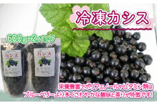 【先行受付 2025年8月中旬頃発送】冷凍カシス600g×2パック 【 ふるさと納税 人気 おすすめ ランキング カシス 果実 果物 フルーツ ヨーグルト ジャム スムージー 酒 リキュール 冷凍 北海道 大空町 送料無料 】 OSO002